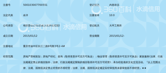 重慶領峰房地產(chǎn)營銷策劃